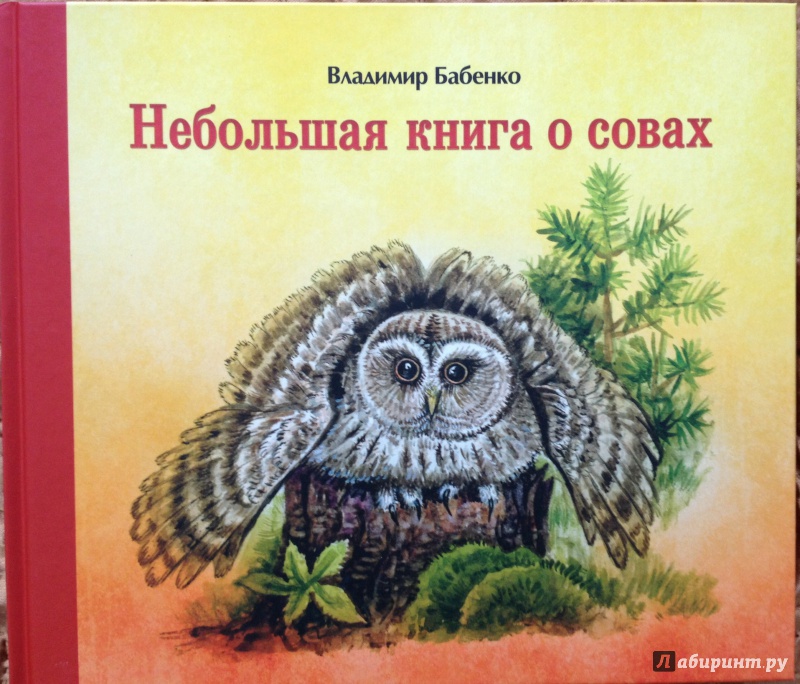 Иллюстрация 2 из 11 для Небольшая книга о совах - Владимир Бабенко | Лабиринт - книги. Источник: Салий  Любовь Сергеевна