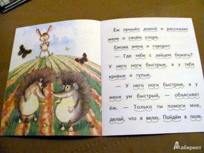 Иллюстрация 4 из 31 для Ёж и заяц - Лев Толстой | Лабиринт - книги. Источник: Oho  Oho