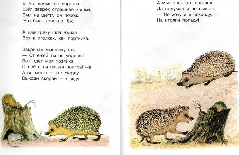 Иллюстрация 10 из 31 для Маленьким ребятам о маленьких зверятах | Лабиринт - книги. Источник: Zhanna