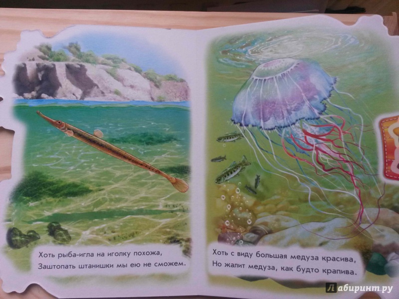 Иллюстрация 2 из 14 для В море - Олеся Квитка | Лабиринт - книги. Источник: Петрашова  Мария