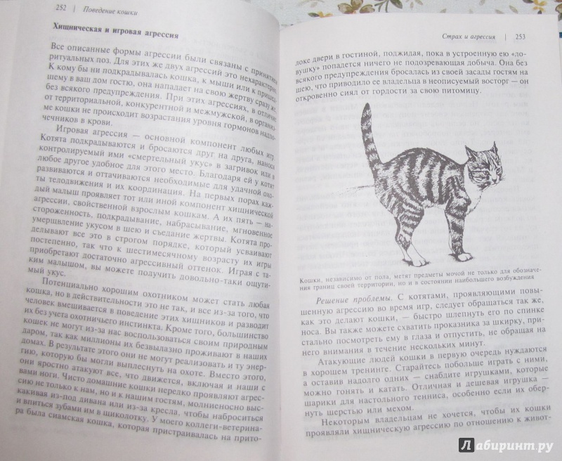 Иллюстрация 24 из 25 для Поведение кошки - Брюс Фогл | Лабиринт - книги. Источник: V  Marisha