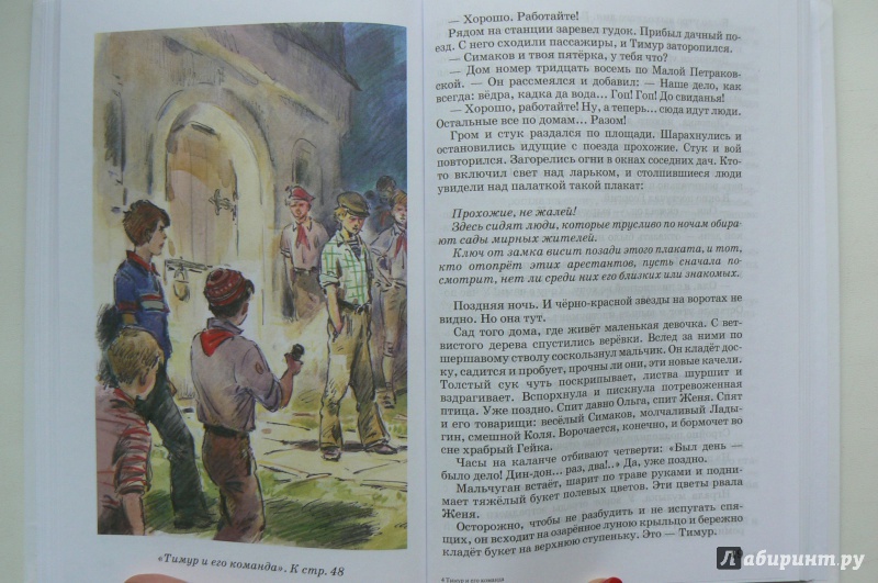 Иллюстрация 15 из 23 для Тимур и его команда - Аркадий Гайдар | Лабиринт - книги. Источник: Марина