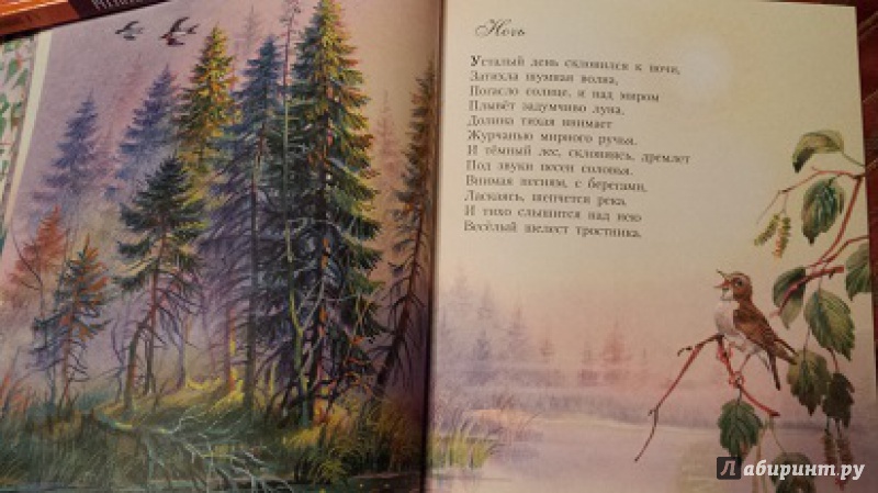 Иллюстрация 22 из 51 для Стихи детям - Сергей Есенин | Лабиринт - книги. Источник: Faina