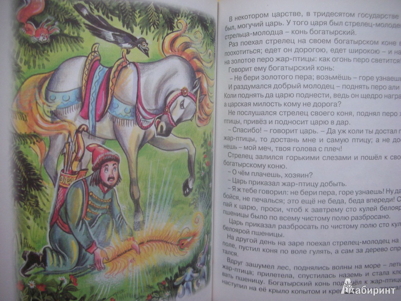 Иллюстрация 10 из 45 для Царевна-лягушка | Лабиринт - книги. Источник: Екатерина123