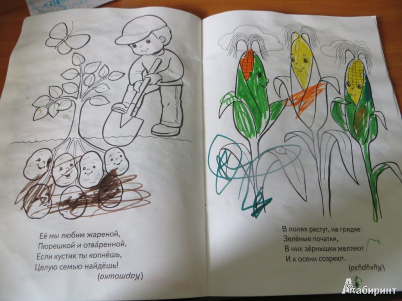Иллюстрация 2 из 17 для "Во саду ли в огороде..." в стихах. Книжка-раскраска - Анна Баранюк | Лабиринт - книги. Источник: Ko-ren