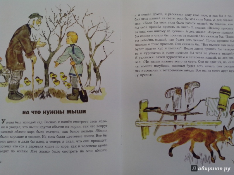 Иллюстрация 8 из 48 для О животных и птицах - Лев Толстой | Лабиринт - книги. Источник: Новикова  Мария