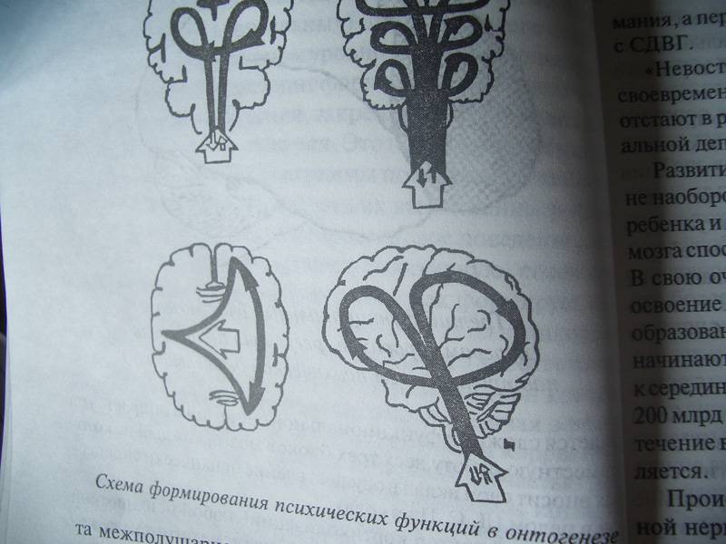 Иллюстрация 7 из 8 для Синдром дефицита внимания с гиперактивностью - Алла Сиротюк | Лабиринт - книги. Источник: unnamed