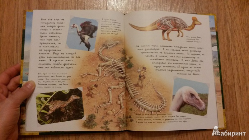 Иллюстрация 20 из 47 для В поисках динозавра - Николас Харрис | Лабиринт - книги. Источник: Белинская  Надежда
