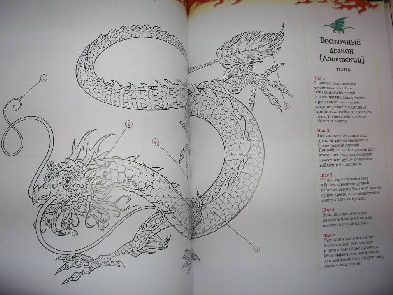 Иллюстрация 19 из 26 для Рисуем драконов - Хенсен, Бернс | Лабиринт - книги. Источник: Tiger.