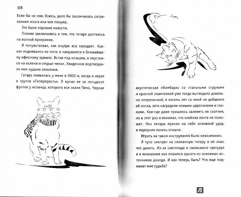Иллюстрация 11 из 58 для Подарок от кота Боба - Джеймс Боуэн | Лабиринт - книги. Источник: Попова  Ольга