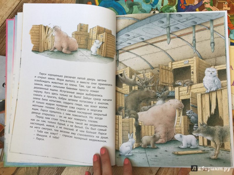 Иллюстрация 16 из 47 для Белый медвежонок находит друга - Беер Де | Лабиринт - книги. Источник: olala