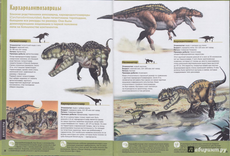 Иллюстрация 26 из 41 для Динозавры и первые звери - Амьё, Костер | Лабиринт - книги. Источник: Евангелина77
