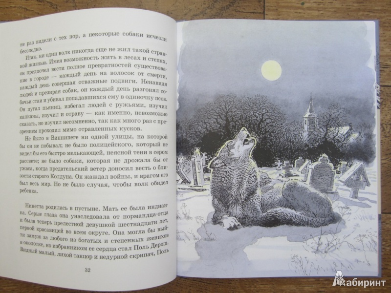 Иллюстрация 43 из 45 для Медвежонок Джонни - Эрнест Сетон-Томпсон | Лабиринт - книги. Источник: ЮлияО