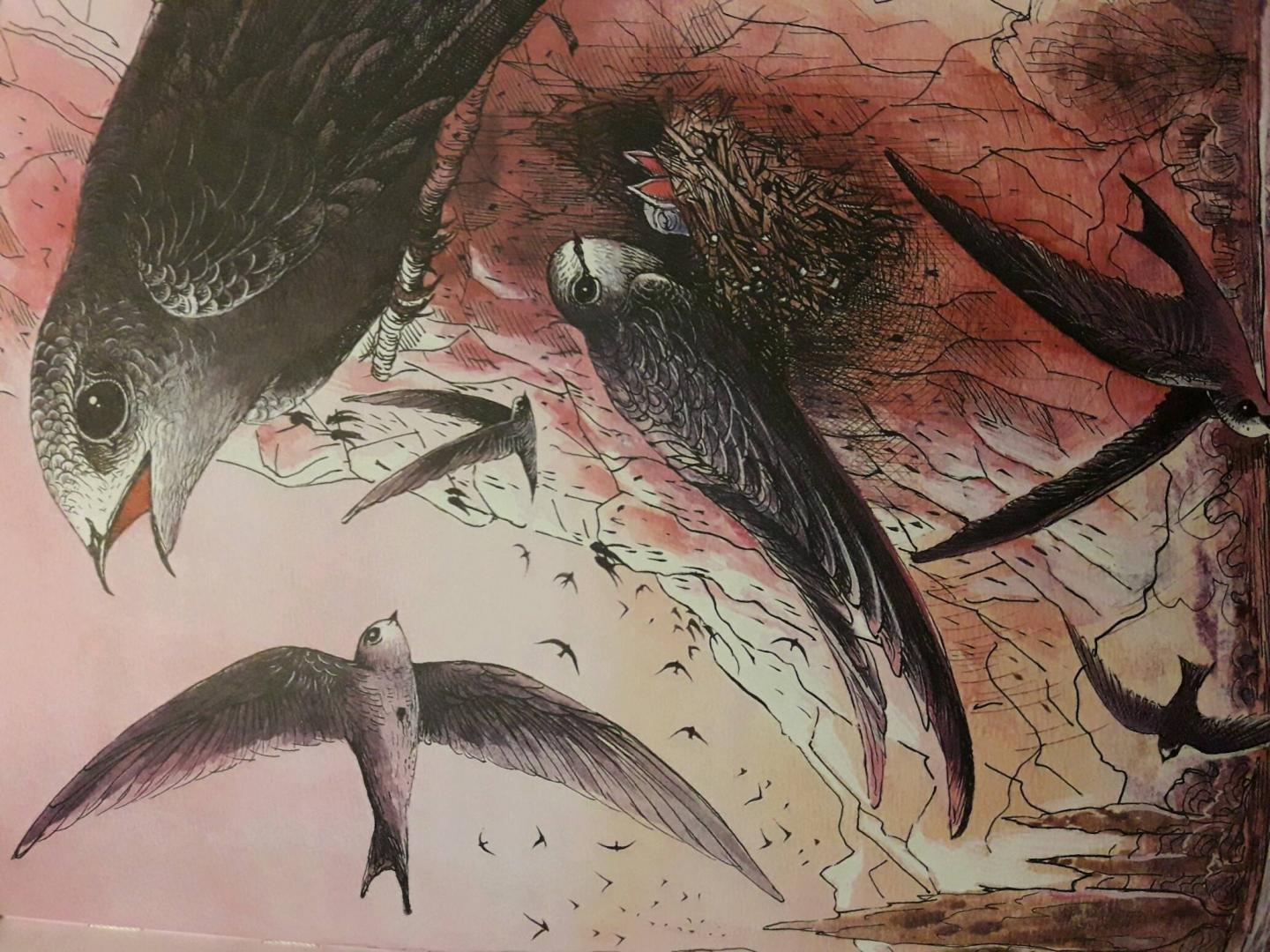 Иллюстрация 7 из 47 для Спасение лягушонка Райана - Дмитрий Ржанников | Лабиринт - книги. Источник: Olga