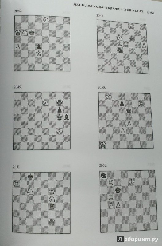 Иллюстрация 14 из 16 для Шахматы. 5334 задачи, комбинации и партии - Ласло Полгар | Лабиринт - книги. Источник: Савчук Ирина