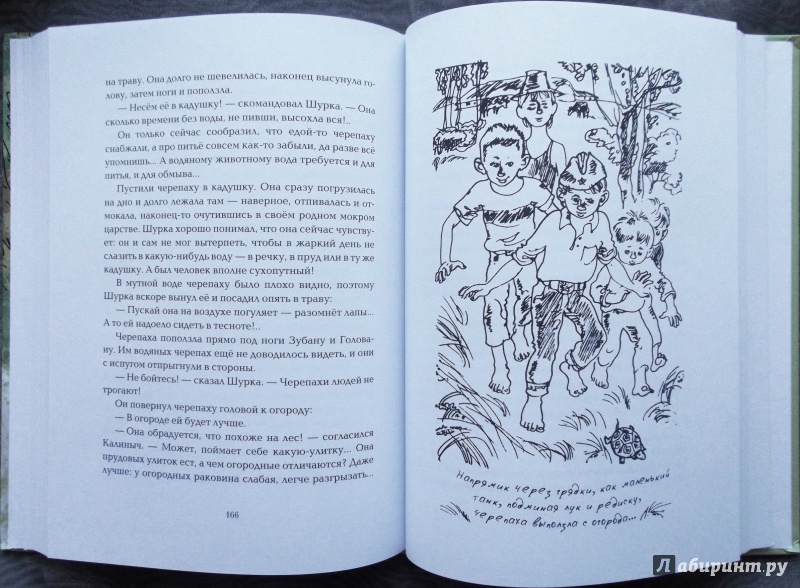 Иллюстрация 61 из 88 для Приключения Мишки Мочалкина - Юрий Третьяков | Лабиринт - книги. Источник: Агаточка