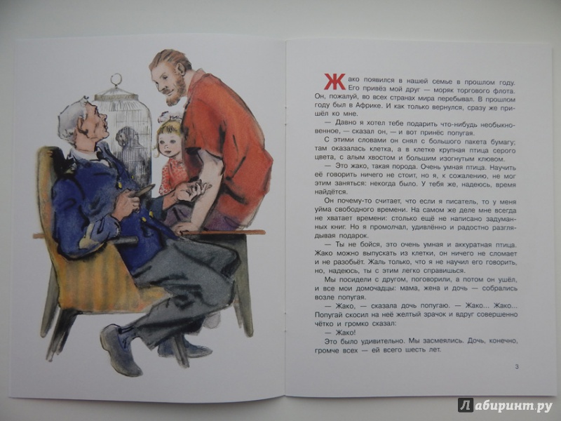 Иллюстрация 8 из 31 для Воинственный Жако - Сергей Воронин | Лабиринт - книги. Источник: Мелкова  Оксана