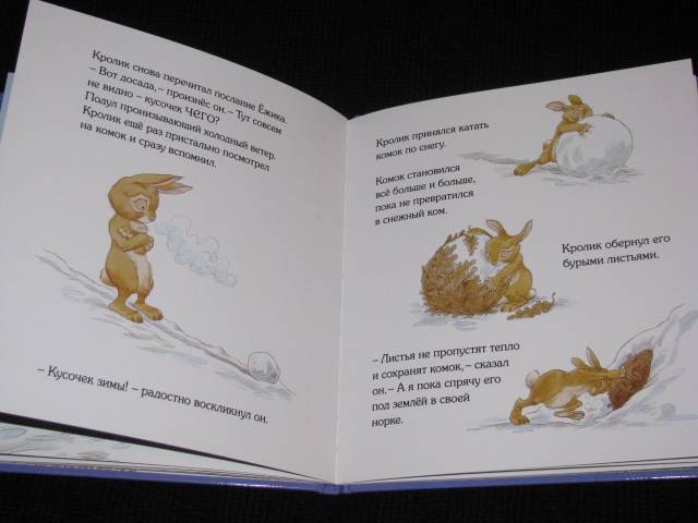 Иллюстрация 25 из 29 для Кусочек зимы - Пол Стюарт | Лабиринт - книги. Источник: Nemertona