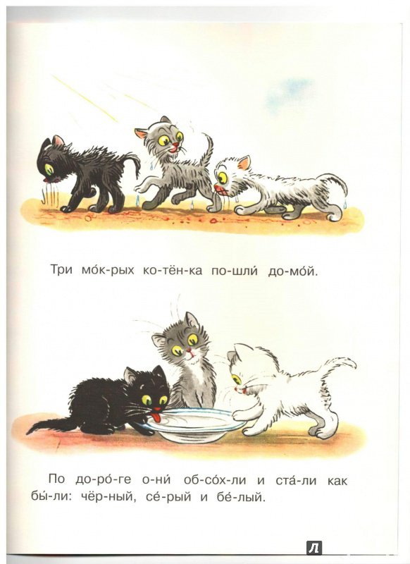 Котенок том читать. Сутеев 3 котенка. Книга Сутеев три котенка. Рассказ Сутеева три котенка.