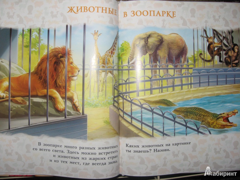 Иллюстрация 2 из 28 для Моя первая книга о животных - Лена Данилова | Лабиринт - книги. Источник: Зотова  Юлия