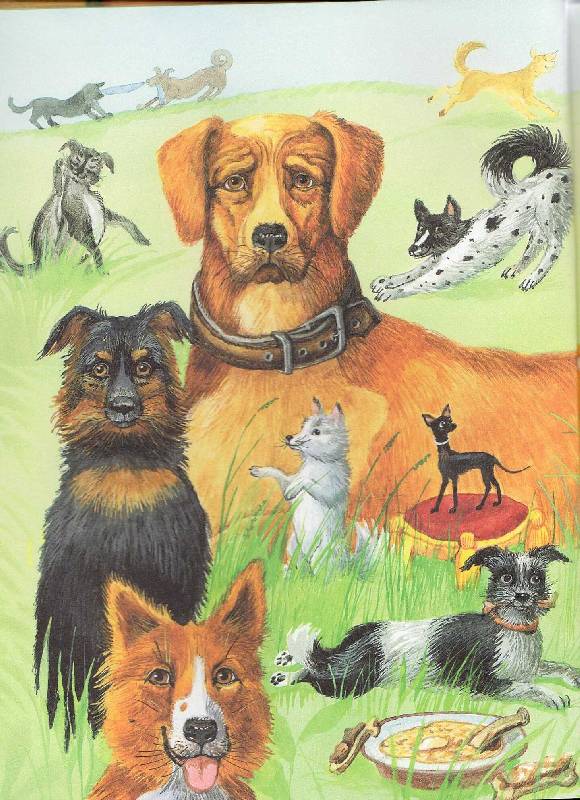 Иллюстрация 49 из 63 для Большая собачья книга - Толстой, Куприн, Крылов, Андреев, Ушинский | Лабиринт - книги. Источник: Стрекоза
