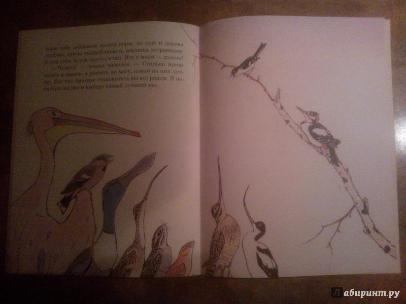 Иллюстрация 40 из 51 для Чей нос лучше - Виталий Бианки | Лабиринт - книги. Источник: antimo