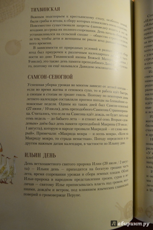 Иллюстрация 81 из 88 для Русские праздники - Елена Левкиевская | Лабиринт - книги. Источник: Букфил
