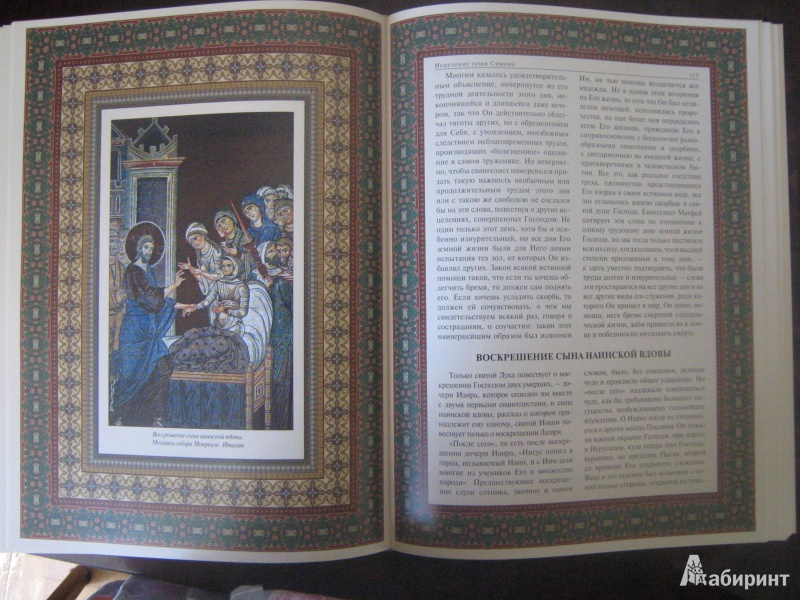 Иллюстрация 9 из 13 для Чудеса Господа Бога нашего Иисуса Христа | Лабиринт - книги. Источник: Розанова  Ксения