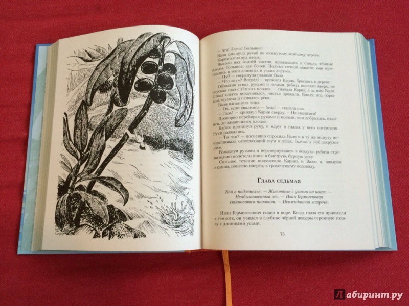 Иллюстрация 97 из 101 для Необыкновенные приключения Карика и Вали - Ян Ларри | Лабиринт - книги. Источник: Сан Санна