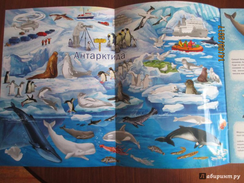 Иллюстрация 19 из 25 для В снегах. Книжка-панорамка с наклейками | Лабиринт - книги. Источник: Марина Епифанцева
