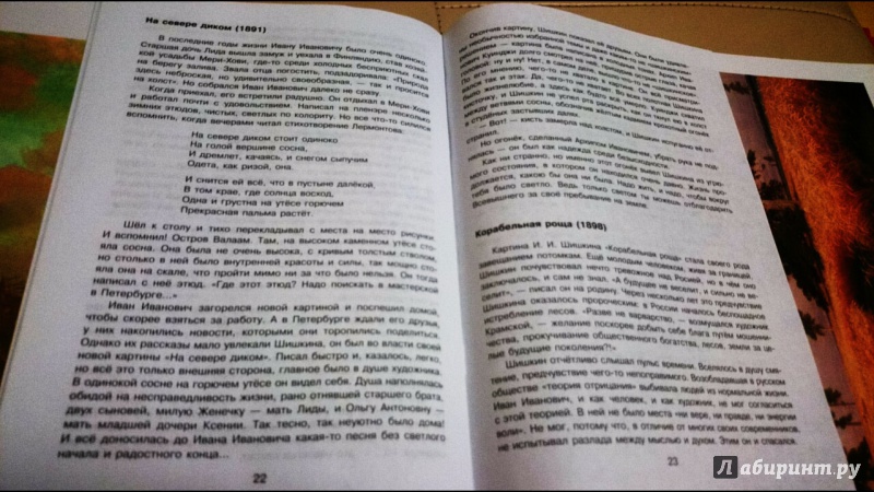 Иллюстрация 17 из 25 для Картины русских художников: репродукции и описания. Ф. Васильев. И. Шишкин - Н. Бойко | Лабиринт - книги. Источник: anka46