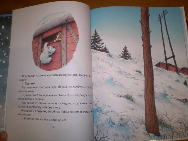 Иллюстрация 55 из 86 для Барни, белый медвежонок - Беер Де | Лабиринт - книги. Источник: С  М В