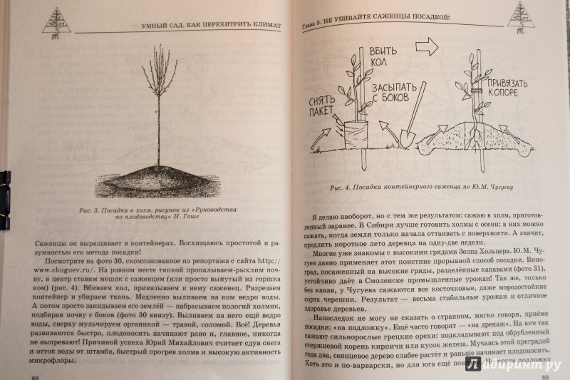 Иллюстрация 5 из 13 для Умный сад. Как перехитрить климат - Курдюмов, Железов | Лабиринт - книги. Источник: С  Т