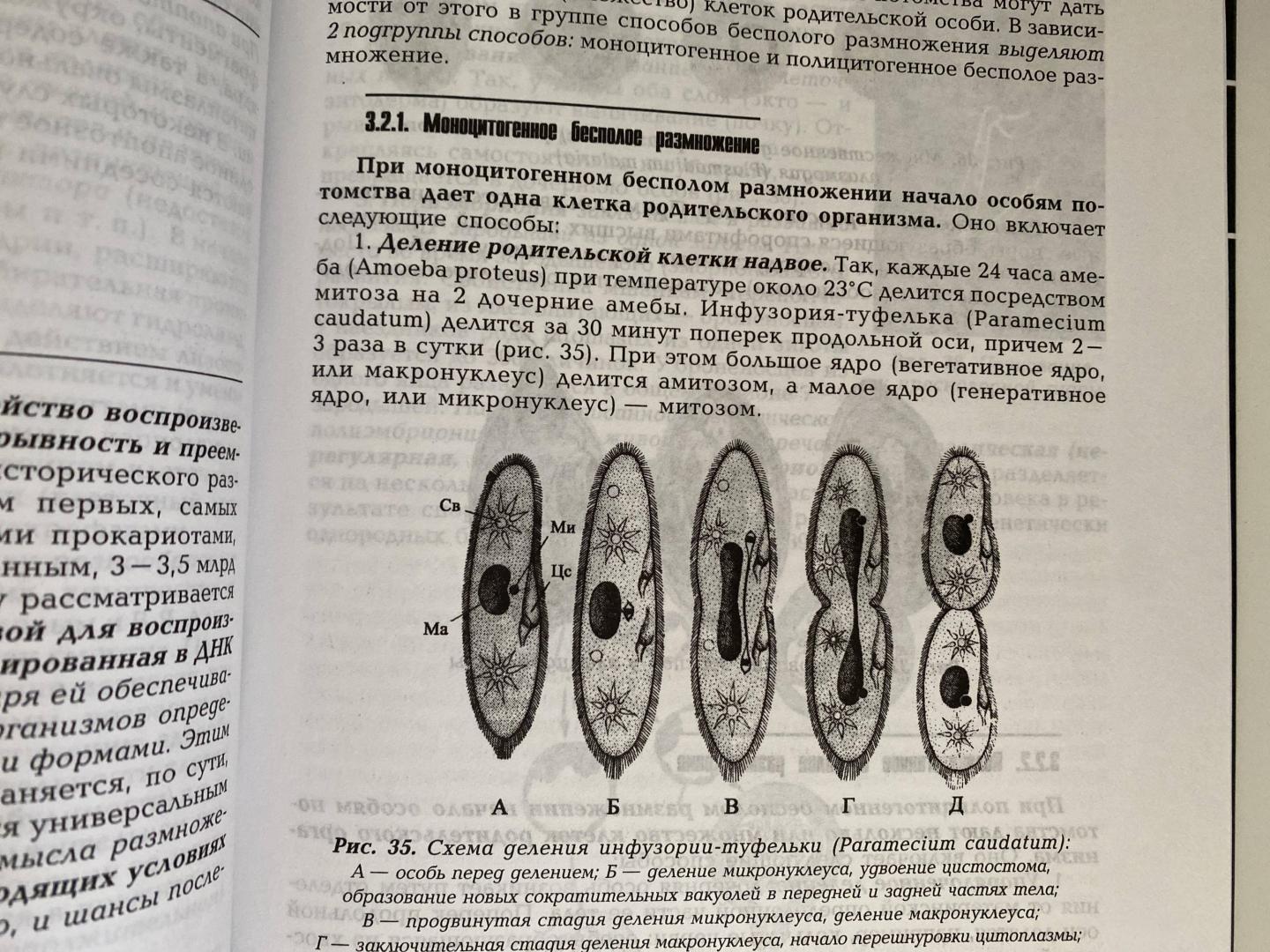 Иллюстрация 42 из 51 для Общая биология. Учебник - Виталий Сыч | Лабиринт - книги. Источник: Лабиринт