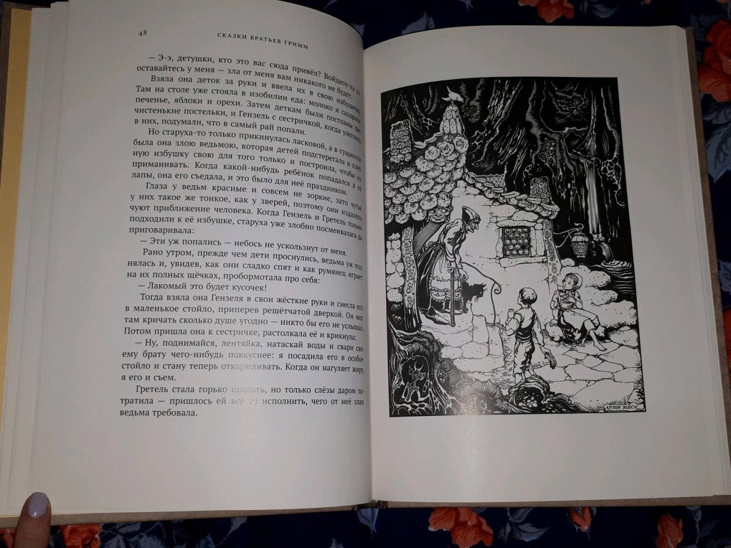 Иллюстрация 30 из 44 для Сказки братьев Гримм - Гримм Якоб и Вильгельм | Лабиринт - книги. Источник: Низамутдинова Алина