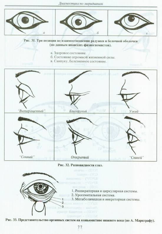 Иллюстрация 14 из 47 для Искусство диагностики по лицу. Атлас - Эмма Гоникман | Лабиринт - книги. Источник: Joker
