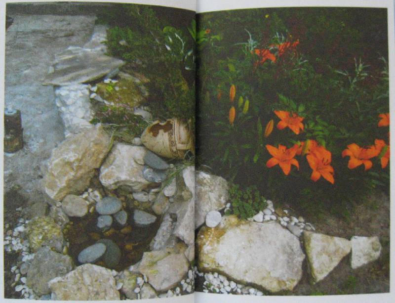 Иллюстрация 15 из 16 для Водоем своими руками - Анна Зайцева | Лабиринт - книги. Источник: Флоренция