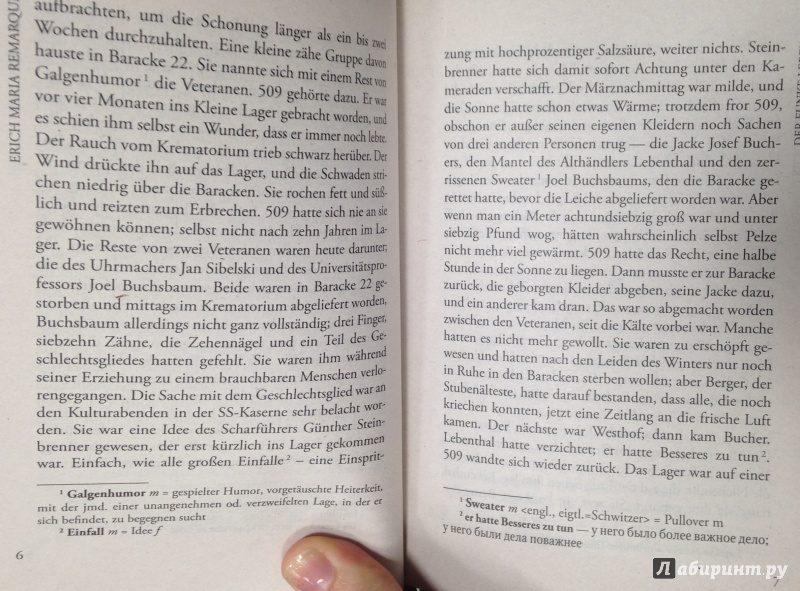 Иллюстрация 6 из 11 для Der Funke Leben - Erich Remarque | Лабиринт - книги. Источник: Tatiana Sheehan