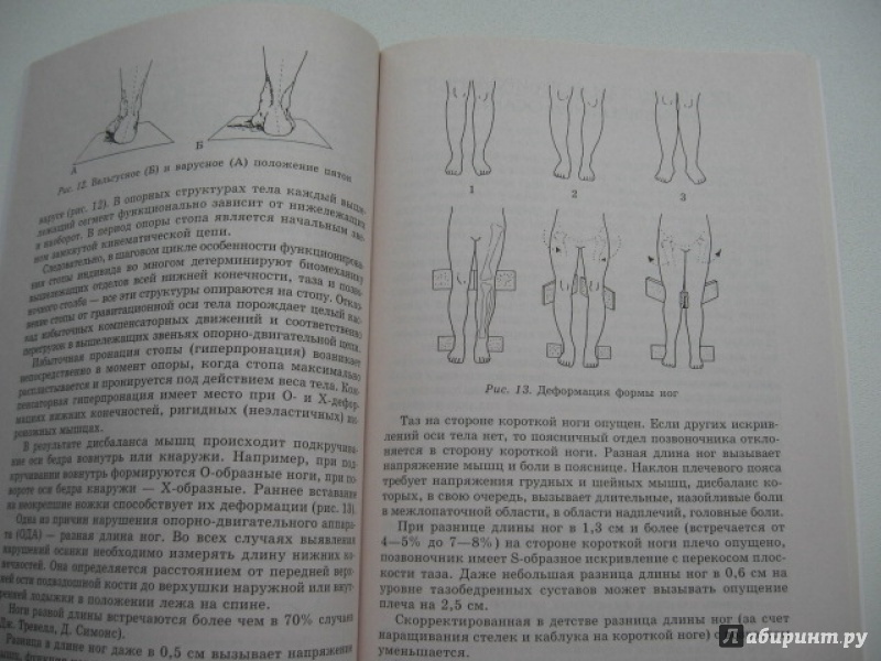 Иллюстрация 3 из 17 для Как сделать осанку красивой, а походку легкой - Евгения Бабенкова | Лабиринт - книги. Источник: mer_cure