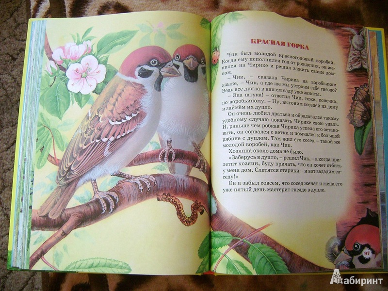 Иллюстрация 15 из 41 для Большая книга сказок - Виталий Бианки | Лабиринт - книги. Источник: Воронина  Елена