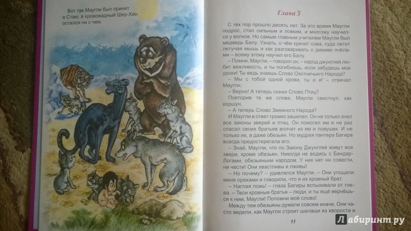 Иллюстрация 11 из 24 для Маугли - Редьярд Киплинг | Лабиринт - книги. Источник: Янкович  Янина