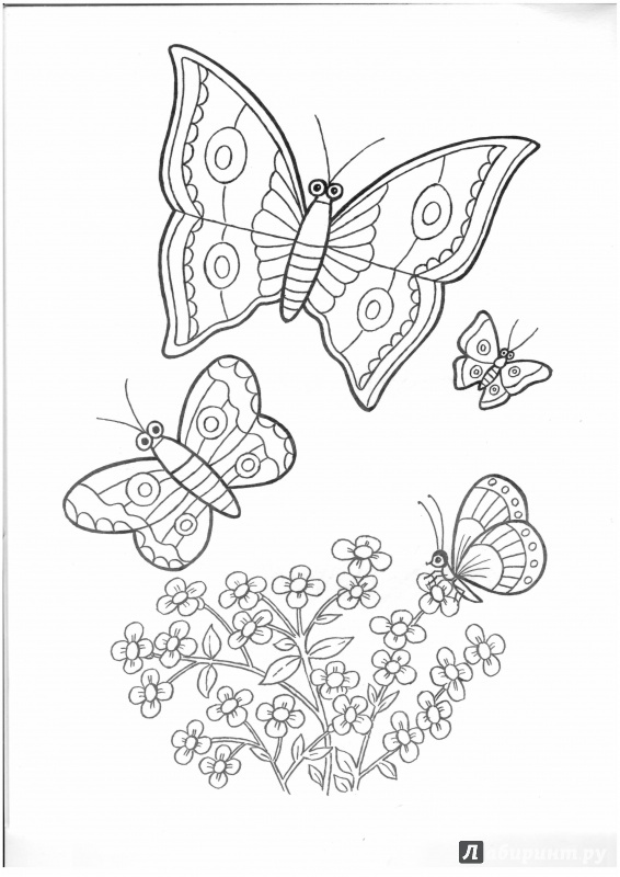 Иллюстрация 16 из 22 для Цветы и бабочки - Татьяна Коваль | Лабиринт - книги. Источник: Lechman@list.ru