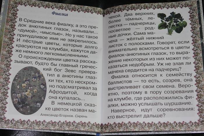 Иллюстрация 10 из 10 для Царство Цветов - Татьяна Жукова | Лабиринт - книги. Источник: Guttt