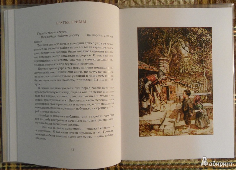 Иллюстрация 35 из 52 для Сказки - Гримм, Андерсен | Лабиринт - книги. Источник: Maxima