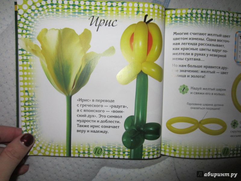 Иллюстрация 10 из 14 для Цветы и букеты из воздушных шариков | Лабиринт - игрушки. Источник: Светлана