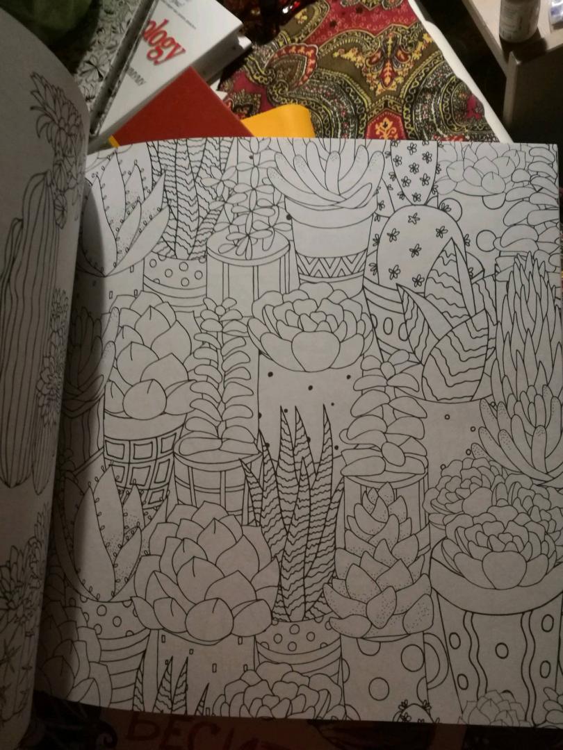 Иллюстрация 46 из 46 для Cactus party. Раскраска-оазис для творчества | Лабиринт - книги. Источник: Сапранкова  Яна