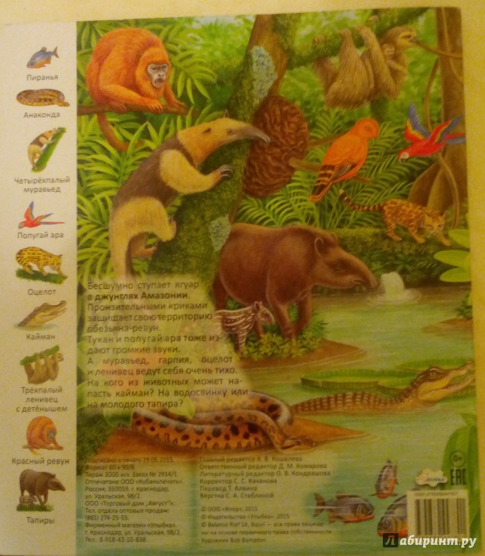 Иллюстрация 16 из 39 для Животные и растения тропических лесов | Лабиринт - книги. Источник: Валеева  Мария Федоровна