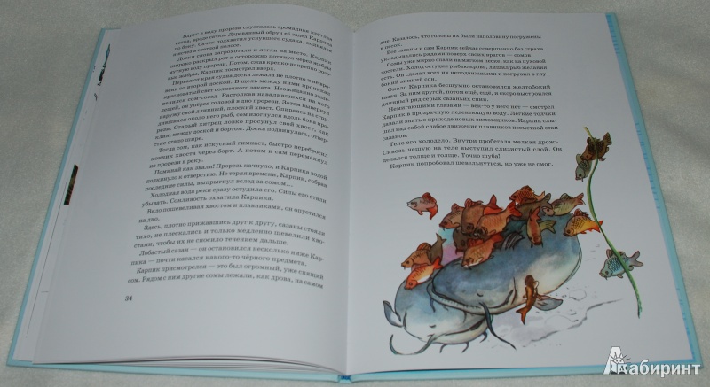 Иллюстрация 37 из 65 для Приключения Карпика - Андрей Клыков | Лабиринт - книги. Источник: Книжный кот