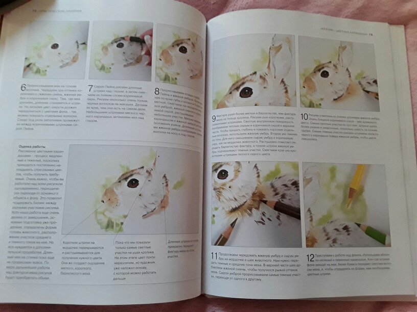 Иллюстрация 28 из 31 для Животные. От эскиза до картины - Ходжет, Трусс | Лабиринт - книги. Источник: Ан Дарья
