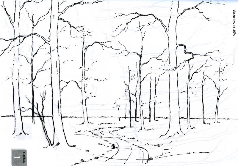 Иллюстрация 15 из 28 для Рисуем по схемам. Деревья и леса. Акварель - Джефф Керси | Лабиринт - книги. Источник: Росинка
